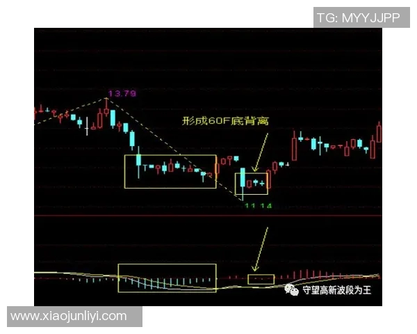 尼姆与雷恩历史交锋数据分析及战绩回顾