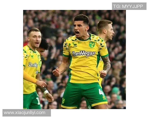 雷丁与伊普斯维奇的精彩对决分析与赛前预测 雷丁与伊普斯维奇的精彩对决分析与赛前预测