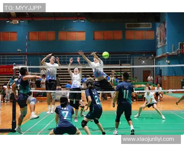 广州排球队战术争议引发热议球迷与专家观点碰撞分析