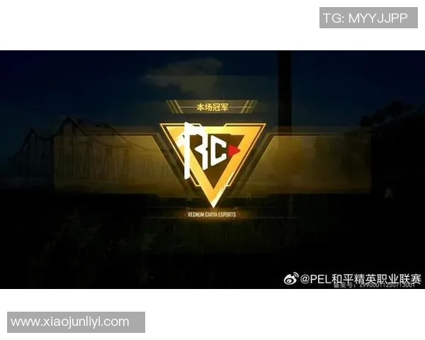 和平精英团队协作赛季更新IG战队表现创新高引发关注