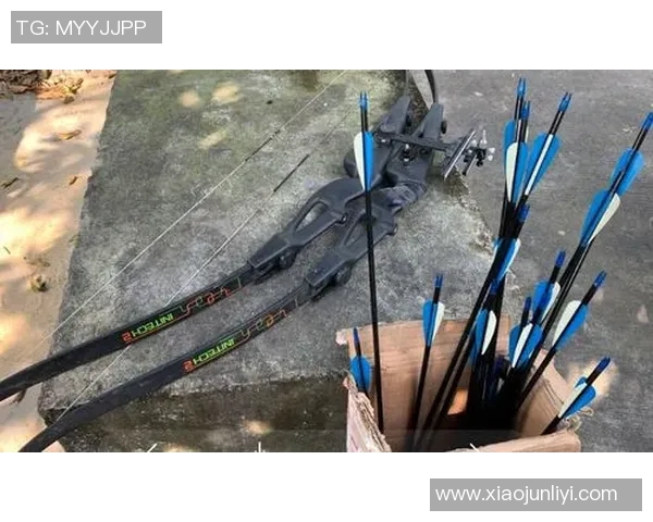 武汉攀岩队整体压制战术解析与实战应用探讨