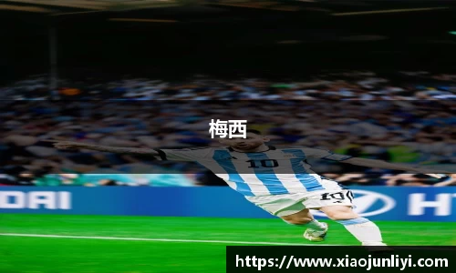 IM电竞·(中国)