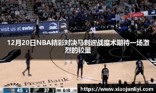im电竞|官网